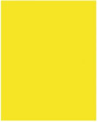 Bringmann Folia Paper Dekorkarton 2 oldalas 50x70cm 220g citromsárga (10 lap) FL61221014 (FL61221014)