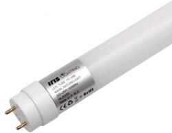 IRIS T8150 24W/4000K/2160lm G13 (ILT815024W4000K)