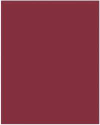 Bringmann Folia Paper Dekorkarton 2 oldalas 50x70cm 220g 10 lap sötét vörös FL61221022 (FL61221022)