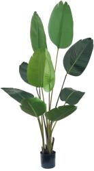  Mesterséges Strelitzia növény 160 cm - Paradicsommadár - 10 zöld levéllel, valósághű részletekkel, beltéri használatra, fekete cserépben