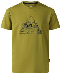 Dare2b Amuse III Tee Goldn Cypress Mărime copii: 110-116 / Culoare: verde (DKT464_ZWY_C05)
