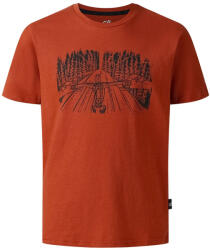 Dare2b Trailbazer III Tee Arabian Spice Mărime copii: 122-128 / Culoare: maro (DKT460_ZSY_C07)