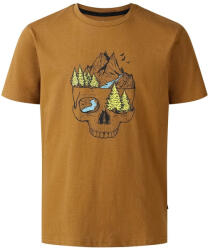 Dare2b Trailbazer III Tee Dark Cumin Mărime copii: 110-116 / Culoare: maro (DKT460_ZJ2_C05)