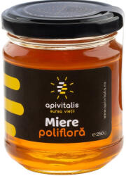  Apivitalis nyers vegyes virágméz 250 g