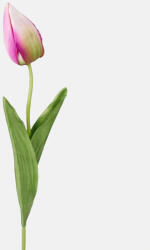 MOS Tulipán dekorációs művirág szál 50cm, lila színű
