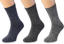 Wooline Șosete 3 în 1 MERINO NATURAL WOOL 10, bărbați Velikost ponožek: EUR 40-43