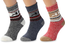 Wooline Șosete 3 în 1 NATURAL Wooline Wool 5, femei Velikost ponožek: EUR 39-42