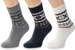 Wooline Șosete 3 în 1 NATURAL Wooline Wool 10, femei Velikost ponožek: EUR 39-42