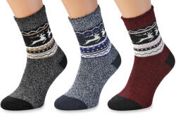 Wooline Șosete 3 în 1 NATURAL Wooline Wool 6, femei Velikost ponožek: EUR 39-42