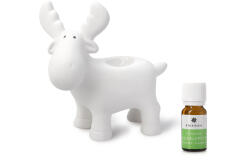 Wooline Lampă de aromaterapie, ren alb + ulei parfumat Eucalipt, 10 ml