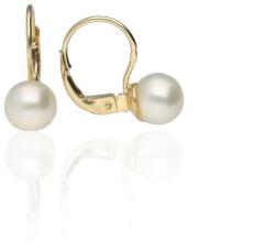 Gold earrings for ladies AU77773 - 14 karátos arany női fülbevaló hagyományos zárral (AU77773)