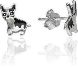 Fine Silver AG120864 - Ezüst beszúrós fülbevaló (AG120864)