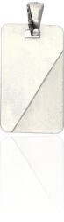 Fine Silver AG120780 - Ezüst medál (AG120780)