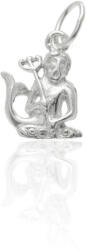 Fine Silver 925-ös ezüst vízöntő horoszkóp medál - AG1-1-4-11-100 (AG1-1-4-11-100)