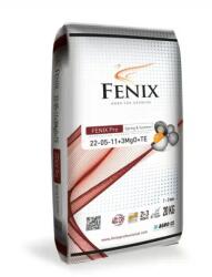 Fenix Ingrasamant Fenix Premium Spring & Summer 22-05-11+3 MgO 20KG (FERTISOLID-SPRINGSUMMER-20KG)