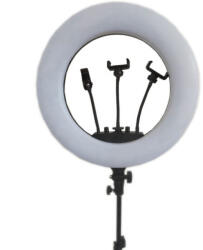  Lumina Ring Light LED Bicolor 3200K-5600k 65W (RL-SY480)