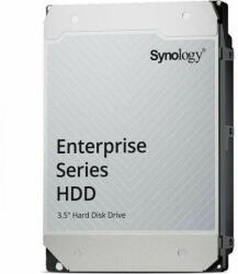 Synology 12TB HAS5310-12T