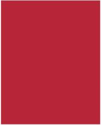 Bringmann Folia Paper Dekorkarton 2 oldalas 50x70cm 220g 10 lap tűzpiros FL61221020 (FL61221020)