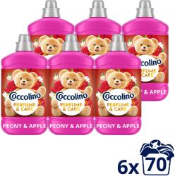 Coccolino Peony & Apple 6×1, 610 l (70 mosás) (6x8720181930607)