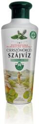 Herbária cserszömörcés szájvíz mentolos 250 ml - ipon