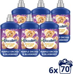 Coccolino Purple Orchid & Blueberry 6×1, 610 l (70 mosás) (6x8720181930577)
