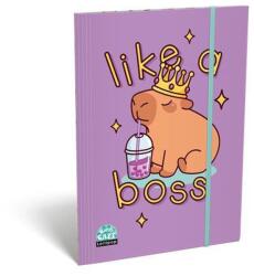 LOLLIPOP Gumis mappa karton A4 Capybara mintás TICGMLCBA4 (TICGMLCBA4)
