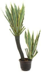  EUROPALMS Orchid-Cactus, artificial plant, 160cm (82809035)