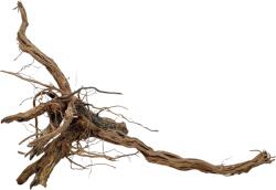 INVITAL Dragon wood 90-120cm (ID Z03523)