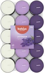 Bolsius Teamécses 30 Db Levendula Illatú, Háromszínű