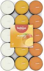 Bolsius Teamécses 30 Db Mangó Illatú, Háromszínű