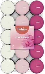Bolsius Teamécses 30 Db Orchidea Illatú, Háromszínű