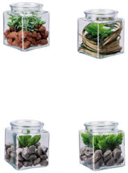 AdTrend Set 4 plante suculente artificiale in borcan 10 x 10 x 13 cm (114091)