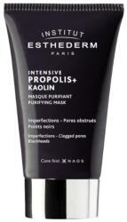 Institut Esthederm Mélytisztító maszk Propolis+ Kaolin (Purifying Mask) 75 ml