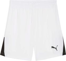 PUMA Teamliga 26 shorts xl