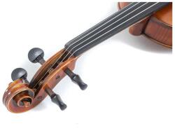 GEWA Violin Maestro 2, 3/4, Ready to play, transport-secured