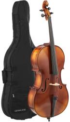 Gewa Cello Anniversary, 1/2, set up