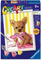 Ravensburger Set de pictură pe numere Ravensburger CreArt - Chihuahua drăguț (12023255)