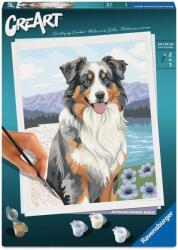 Ravensburger Set de pictat după numere Ravensburger CreArt - Ciobănesc australian (12023114)