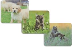 Hama Mousepad Hama - Animal, 22 x 18 cm, sortiment (HAMA-126872) Mouse pad