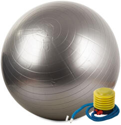  Fitness labda 65 cm, ezüst (v14172_S)