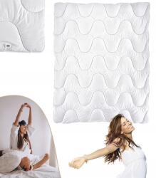  Paplan Standard 140 X 200 Puha Finom Kényelmes Antiallergén Egész (5907666005002)