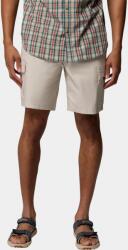 Columbia Rapid Rivers Cargo Short D