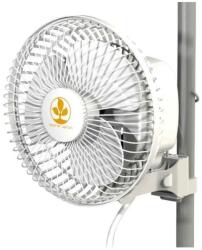 Secret Jardin Monkey Fan 19cm - 16W