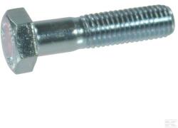 MagaziaLuCostica Surub cap hexagonal M24x100 8.8 (0931824100S)