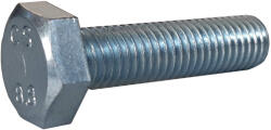 MagaziaLuCostica Surub cap hexagonal M10x40 8.8 (093381040S)