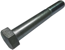 MagaziaLuCostica Surub cap hexagonal M24x160 8.8 (0931824160S)