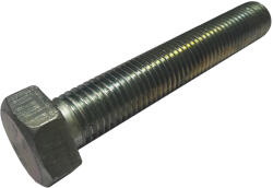MagaziaLuCostica Surub cap hexagonal M24x140 8.8 (0933824140S)
