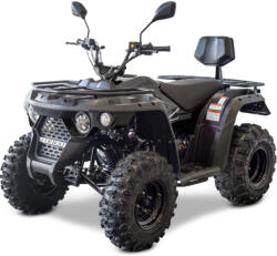 Linhai ATV Linhai model M210 EFI, omologare T3b (LinhaiM210EFI)