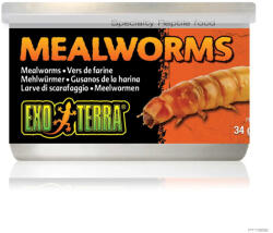 Hagen PT1958 Mealworms - speciális lisztkukac konzerv hüllőeledel 34g - pegazusallatpatika