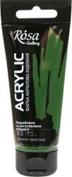 Rosa Gallery Akril festék Sap Green (613) 60 ml 1 db (3241613)